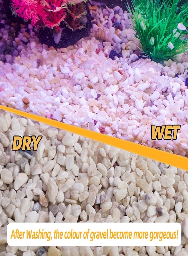 CJGQ 7lb Aquarium Gravel for Plants, 1/5Inch Outdoor Decorative River Rocks for Succulents and Cactus Landscaping, Garden Plant Rocks Natural Small Rocks Pea Gravel for Fish Tank Vases Terrarium - Image 5